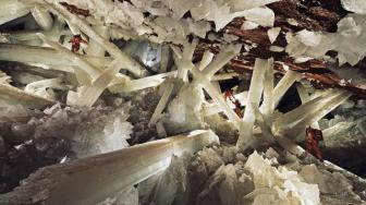 Beautiful, strange images of nature.