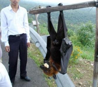 Beautiful and strange pictures from Australia.