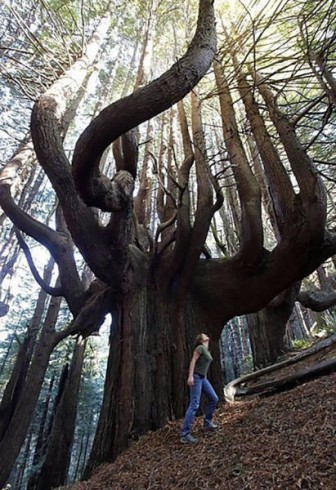 Beautiful and strange pictures from around the world.