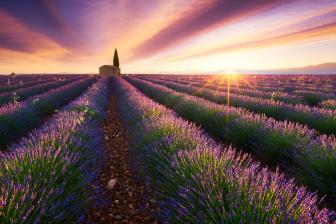 Beautiful pictures of the sunrise around the world.