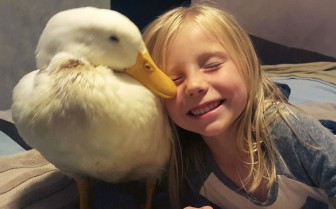 A beautiful girl and her duck friend.