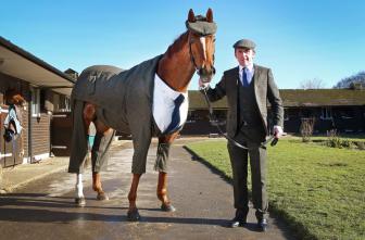 Pictures of a horse wearing a suit like his owner.