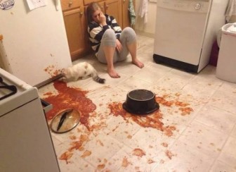 Disasters and disasters in the kitchen with photos.