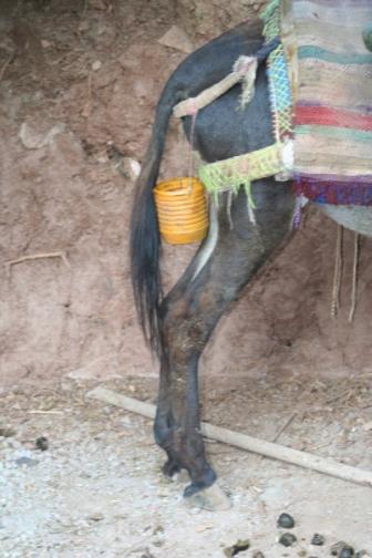 Fotos divertidas y raras de marruecos.
