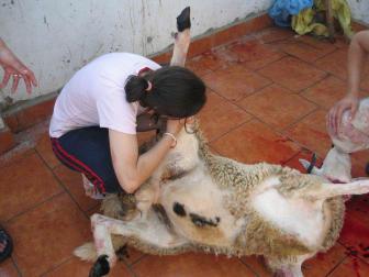 Fotos divertidas de marruecos