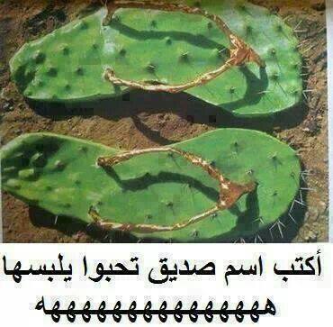 tsawer dyal da7k  صور مضحكة  من المغرب