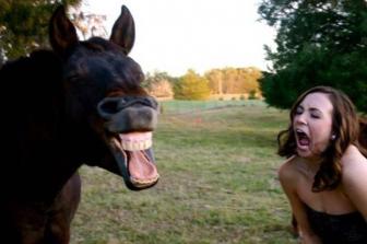 1 random, funny, funny pictures.