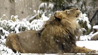 Amazing pictures of nature's beauty.