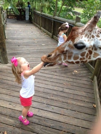 Pictures of funny animals.