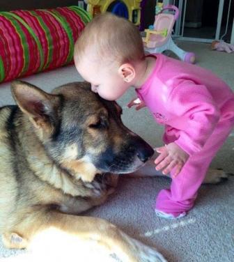 Pictures of the most beautiful, funny, funny animals.