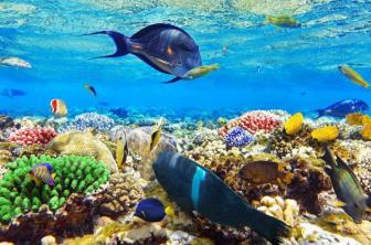 Pictures are really wonderful and amazing from around the world.