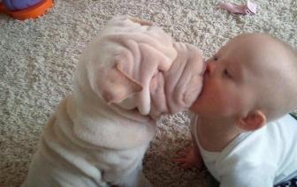 Pictures of babies and dogs will melt your heart.