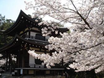 Pictures of beautiful Japanese gardens.