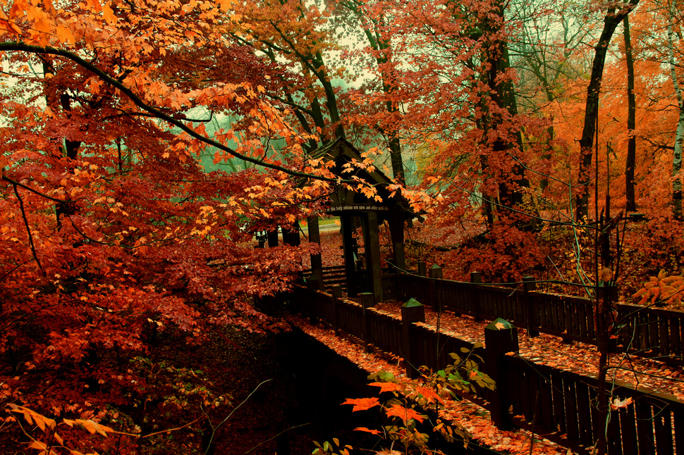 صور جميلة لفصل الخريف في أمريكا