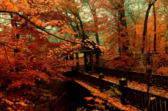 Beautiful pictures of the fall semester in America.