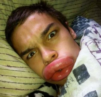 Pictures of the world's dumbest